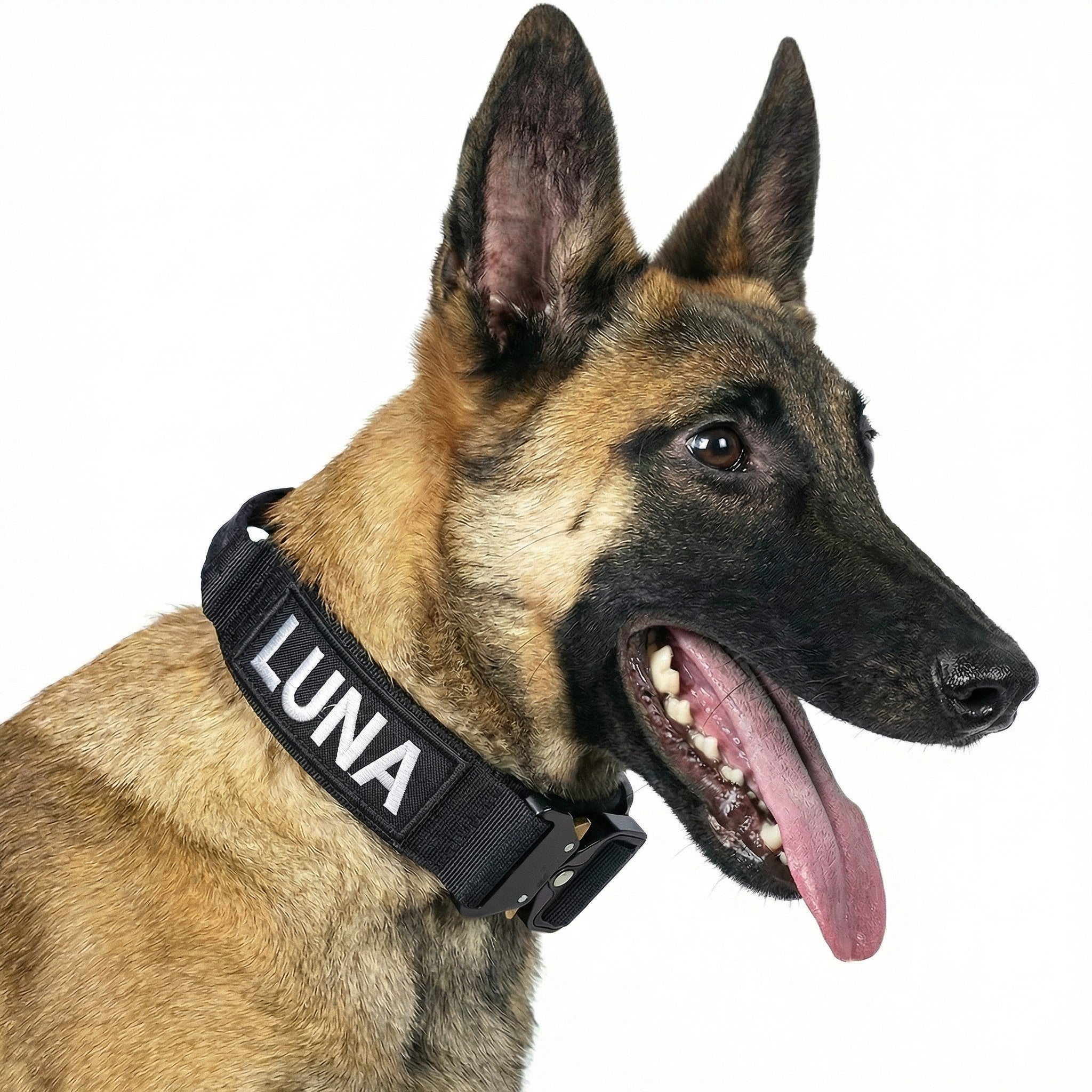 Obroża taktyczna dla psa z haftowanym imieniem